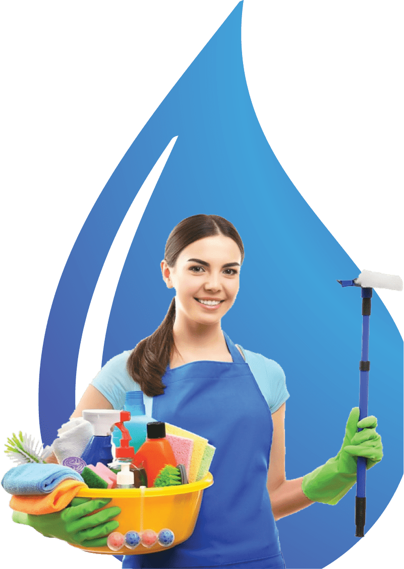 Maidpower | WHAT WE PROVIDED
TO THE CLIENT